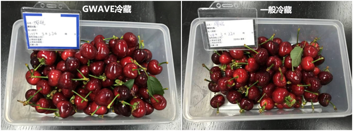 图片2-2_副本-1.jpg
