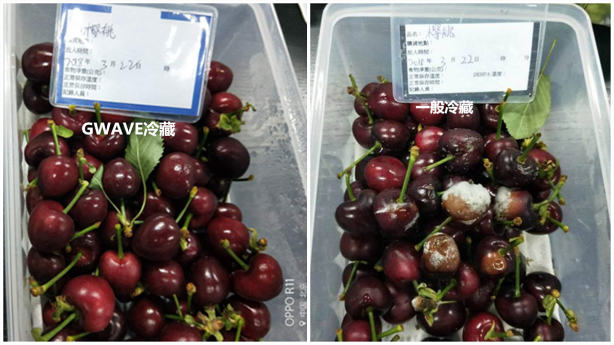 图片8-2_副本-1.jpg